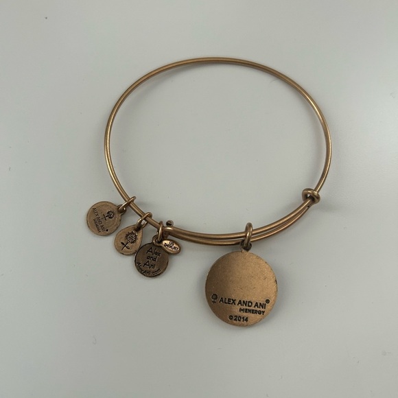 Alex and Ani Boston Bruins Adjustable Bronze Charm Bracelet - Picture 2 of 2